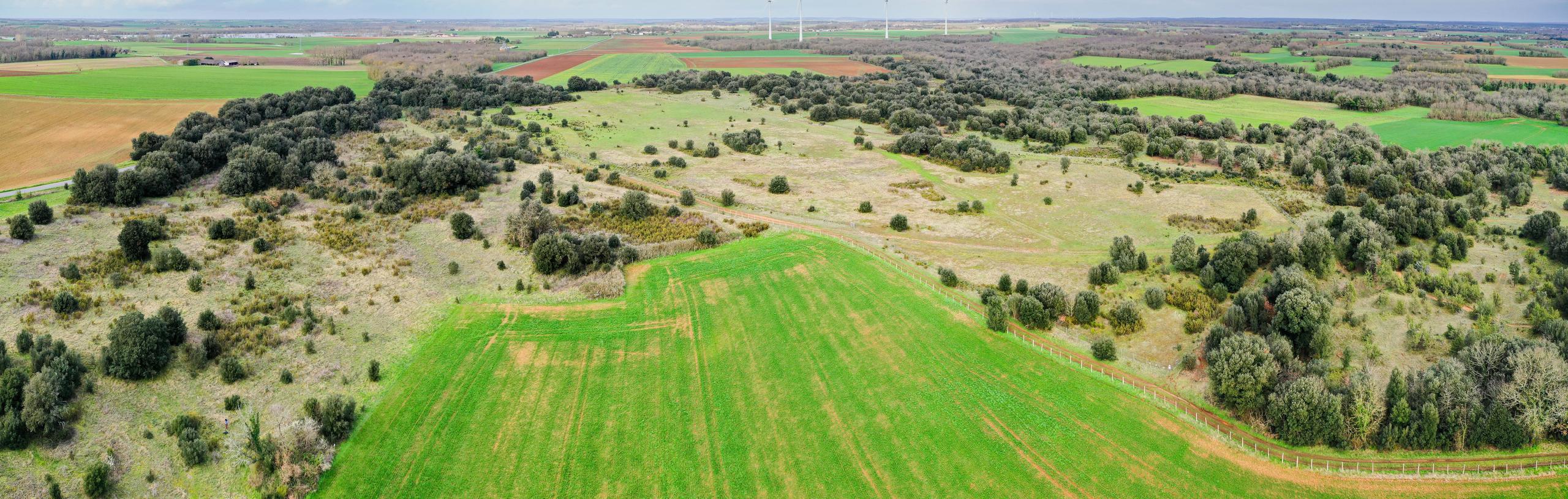 Les Chaumes de Sèchebec, un coin de Méditerranée en Charente-Maritime