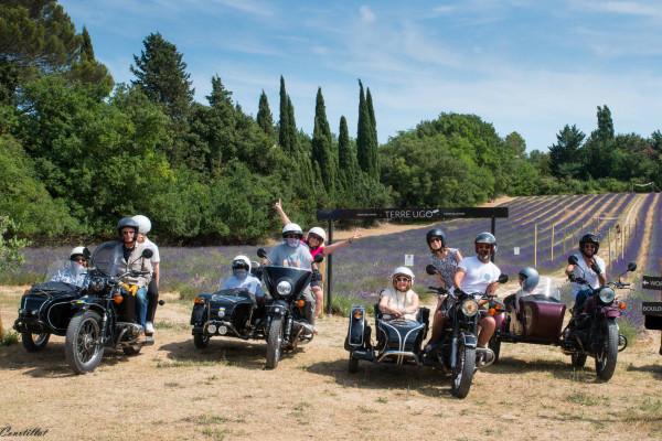 Circuit des lavandes et vignobles en sidecar : 2h,4h ou 6h (juin à septembre)