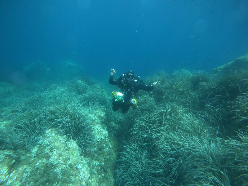 plongée sous marine