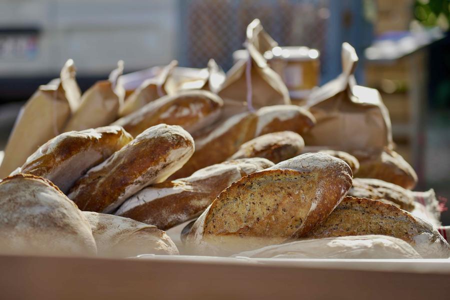 Ferme de Chalonne - Balcons du Dauphiné - Isère