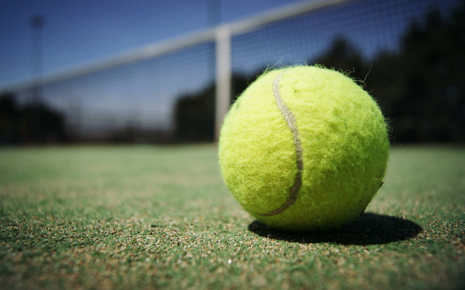 Tournoi de Tennis