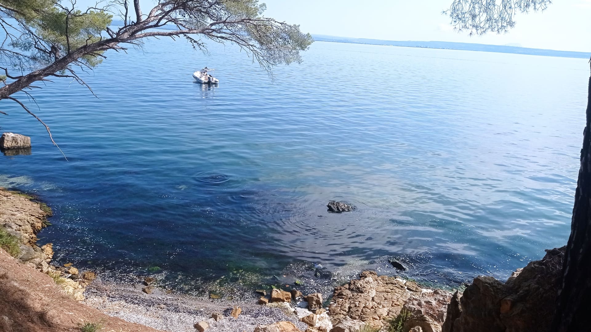 Eco balade autour de l'étang de Berre - photo 5