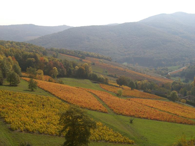 Randonnée pédestre et VTT