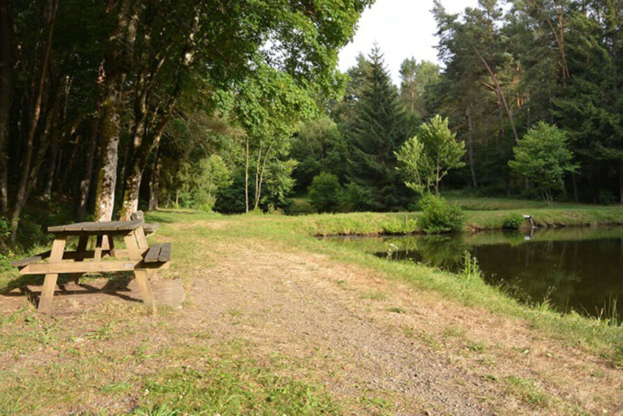 Aire de pique-nique - Étang des Piscines