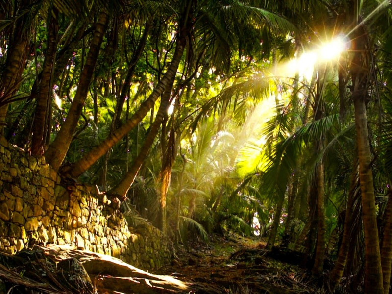 Guyane - Yohann Brichet_Montrond-les-Bains