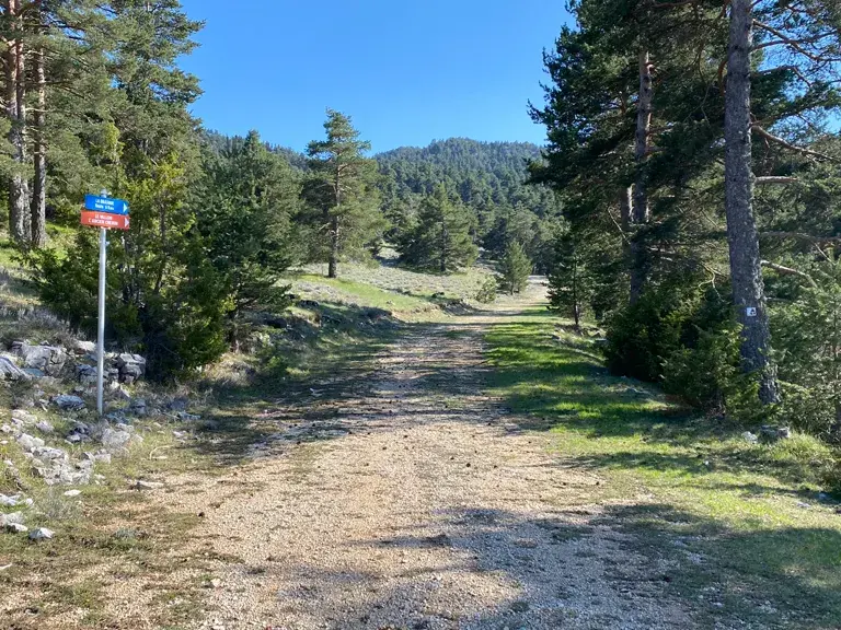 Circuit VTT N°10: La Nordique_Gréolières