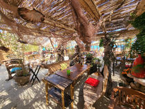 La Cabane - Villeneuve-Loubet