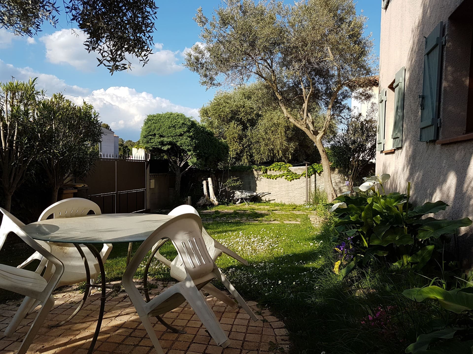 Les ondines — photo 2
