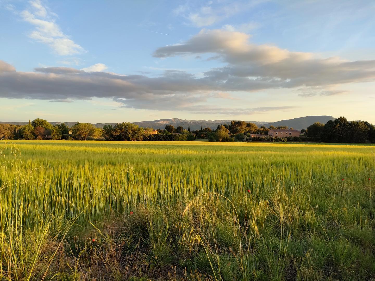 Pin Parasol, Jouques - photo 27