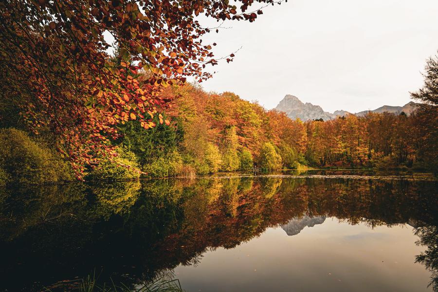 Lac noir à Saint-Paul-en-Chablais