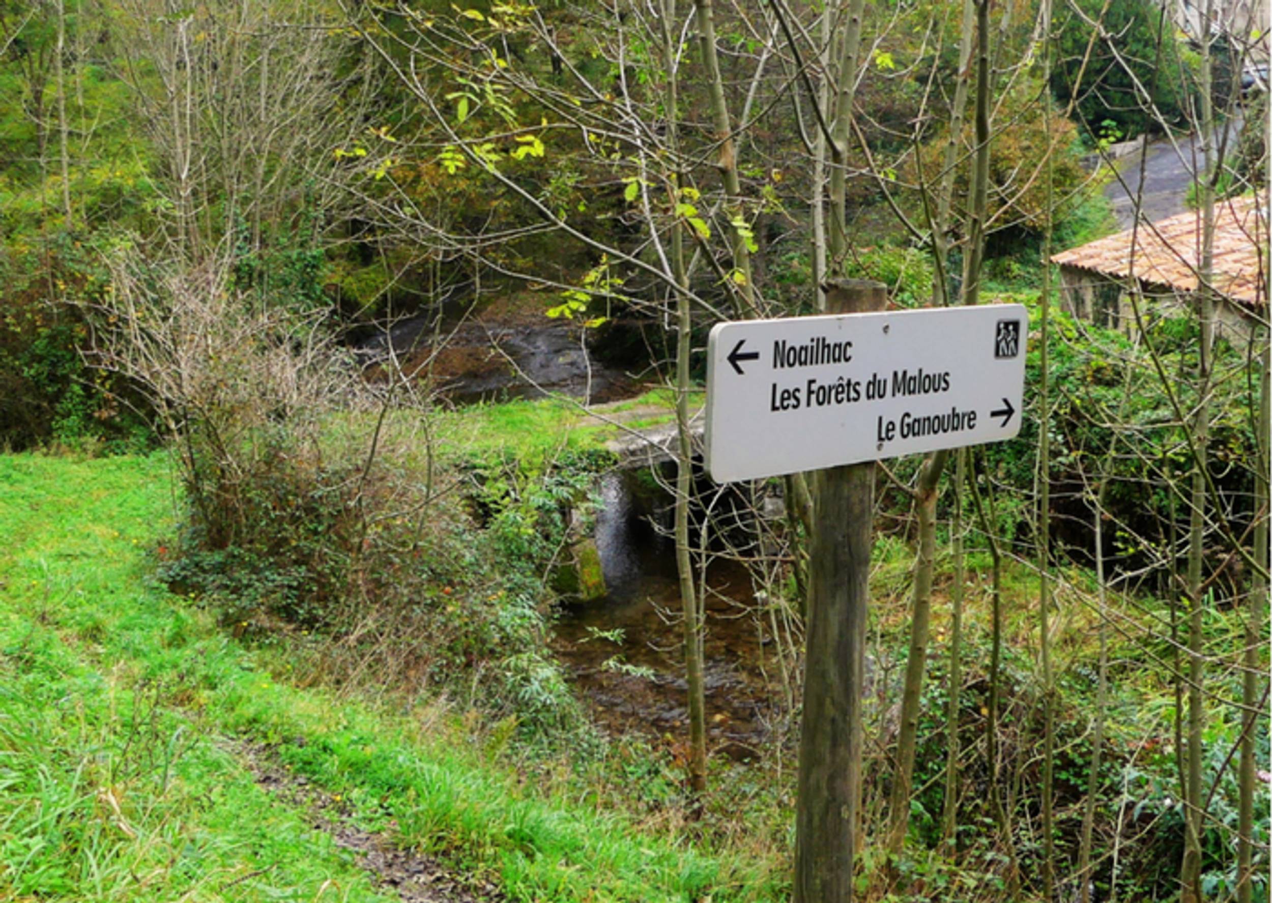 noailhac-boucle-des-forets-des-malous-4-c-office-de-tourime-castres-mazamet-z3g3pgj9js1v