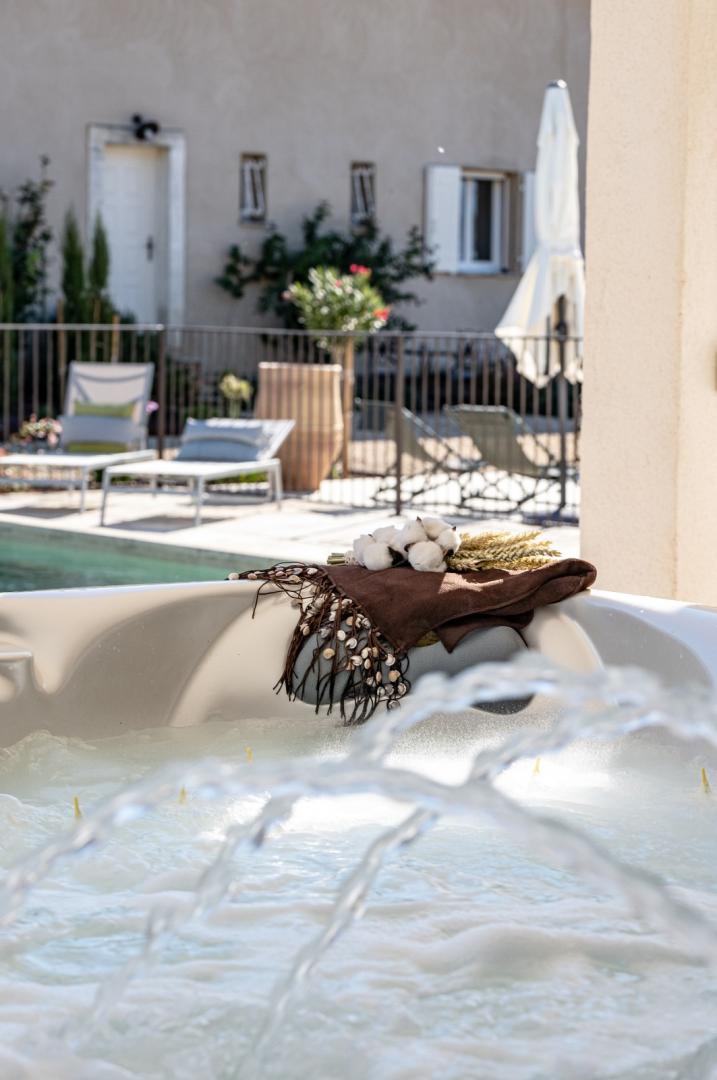 Mas Papabiou - Romanin, Eygalières - photo 16