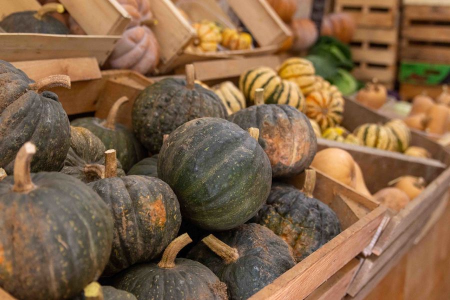 Le potager du Paradis