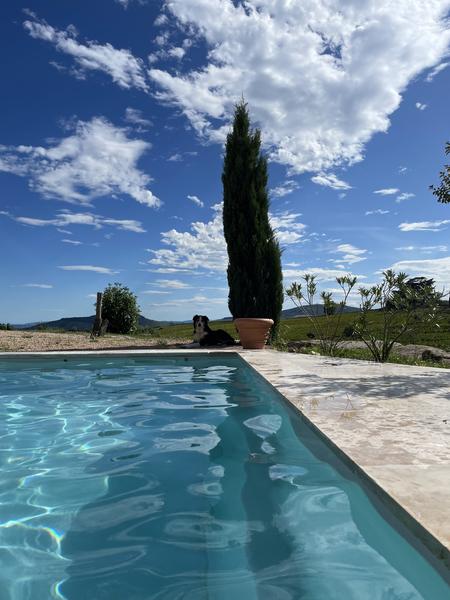 Notre mascotte Teahupoo