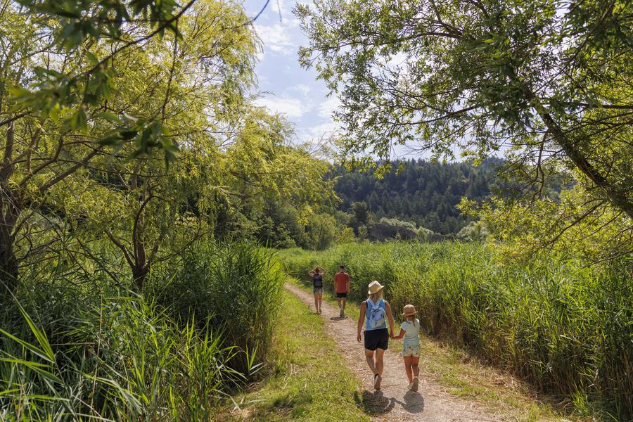Réserve Ornithologique de Haute-Provence ©Thibaut Vergoz