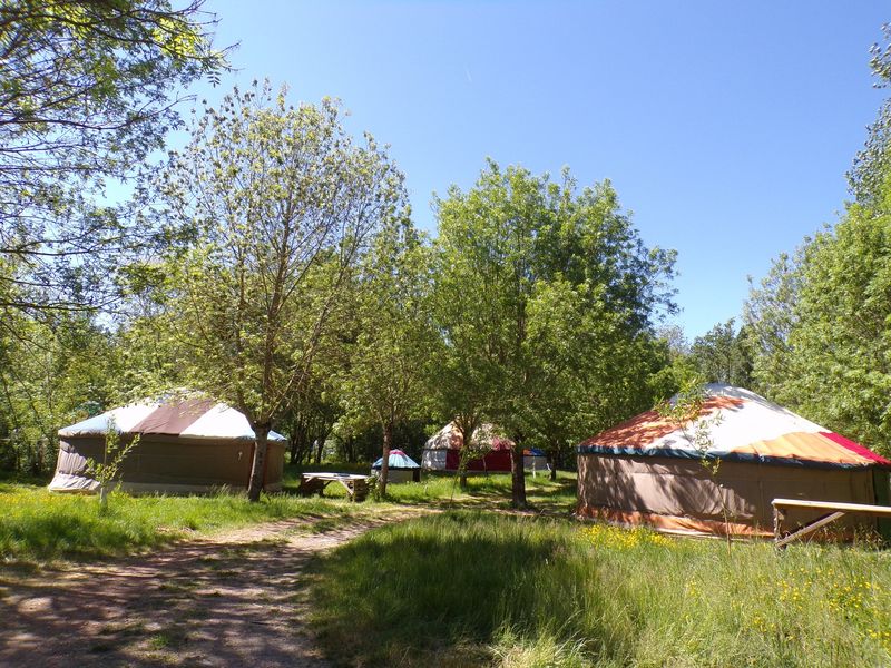 Two yurts in a green space