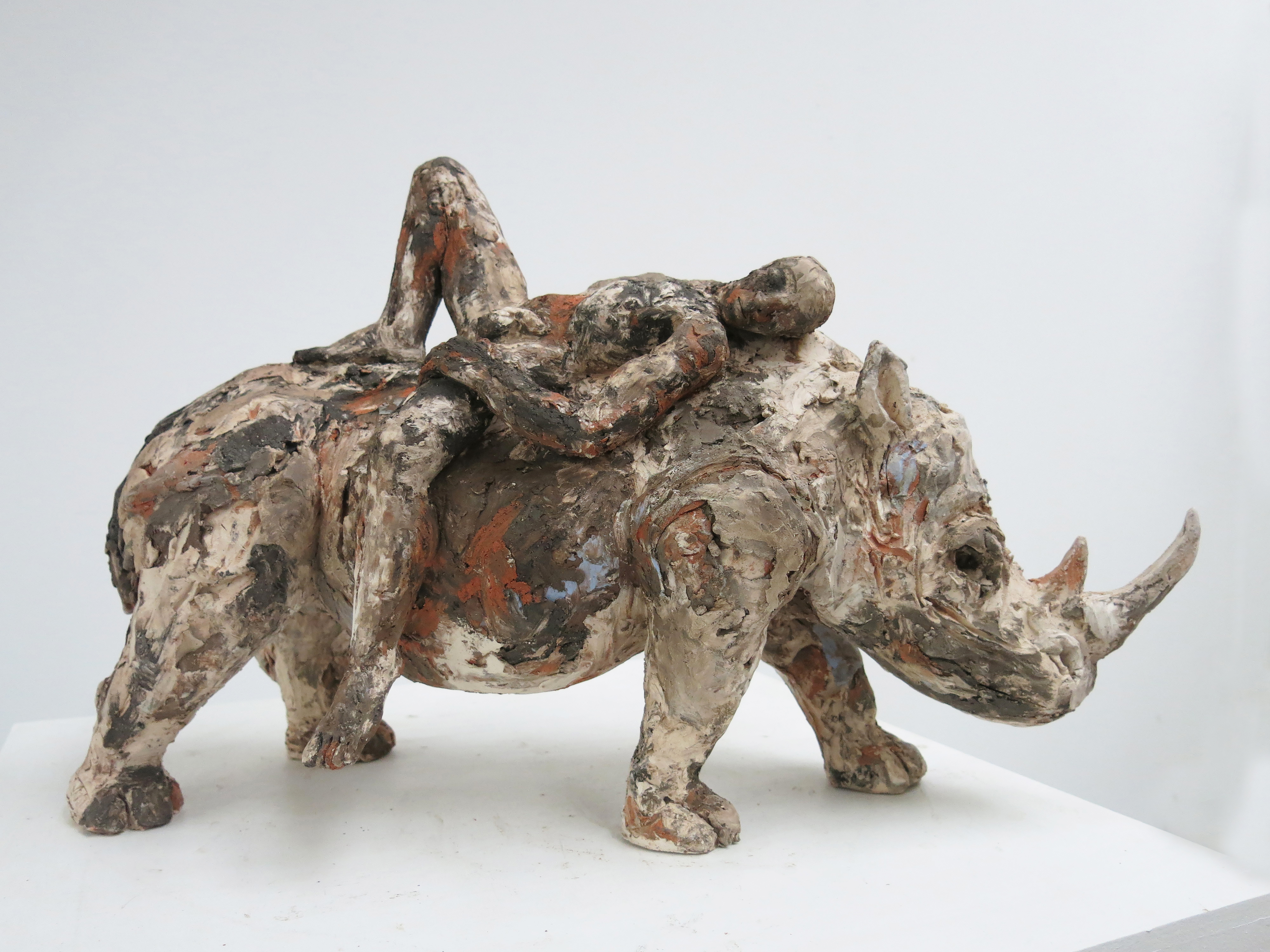 Monica Mariniello -Voyageur-sur-rhinocÃ©ros 300dpi-jpg