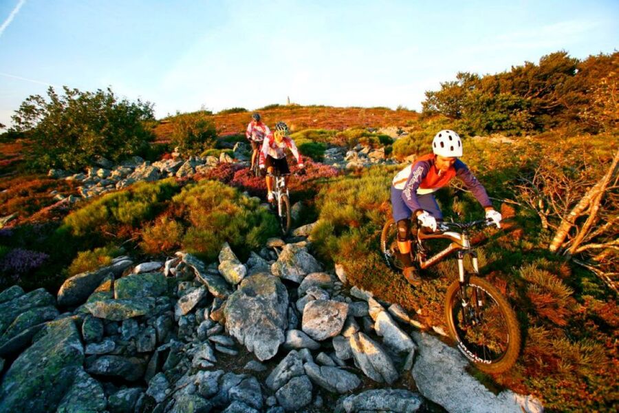 Circuit de VTT n°1 - Cambounès secteur de Brassac