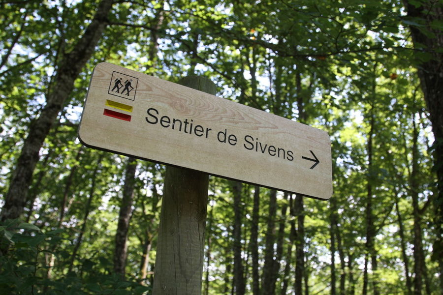 The forest of Sivens 