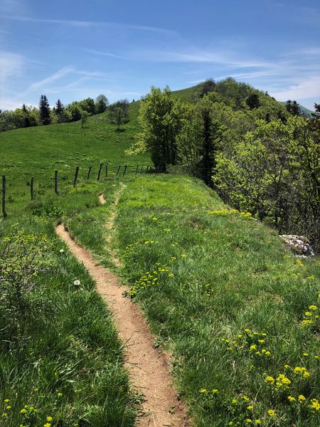 Trail sur les crêtes de Sur Lyand dans le Massif du Grand Colombier