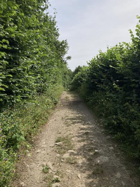 Au bord du lac de Pierre-Châtel