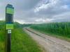 thumbnail_IMG_8936