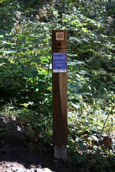 Course d'orientation