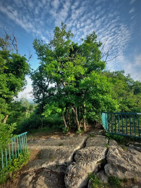 Randonnée pédestre : Le Tour du Mont de Cordon