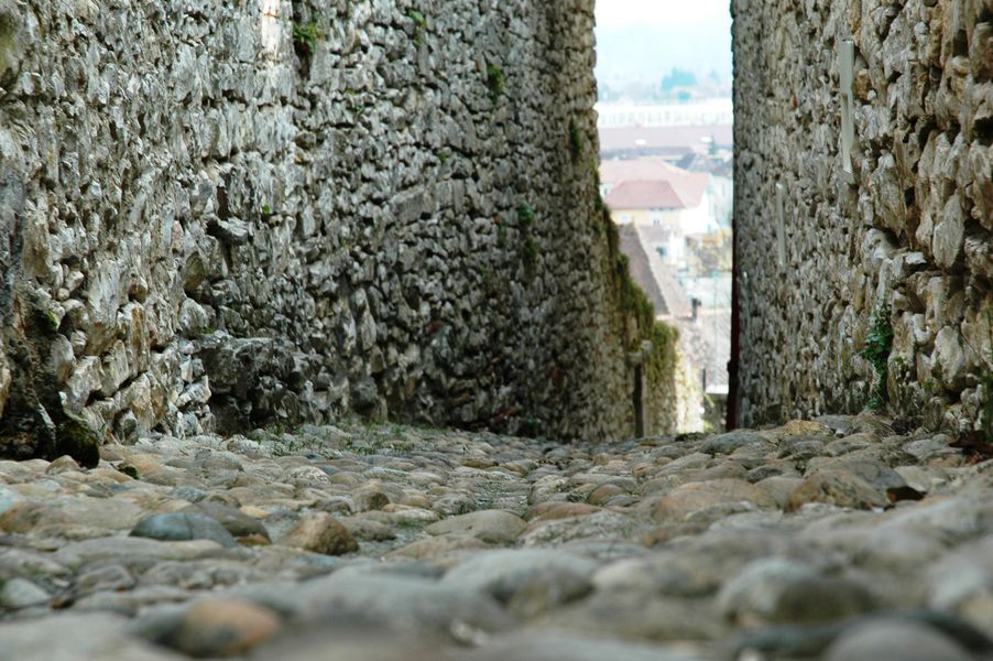 Muette - OTSI Morestel