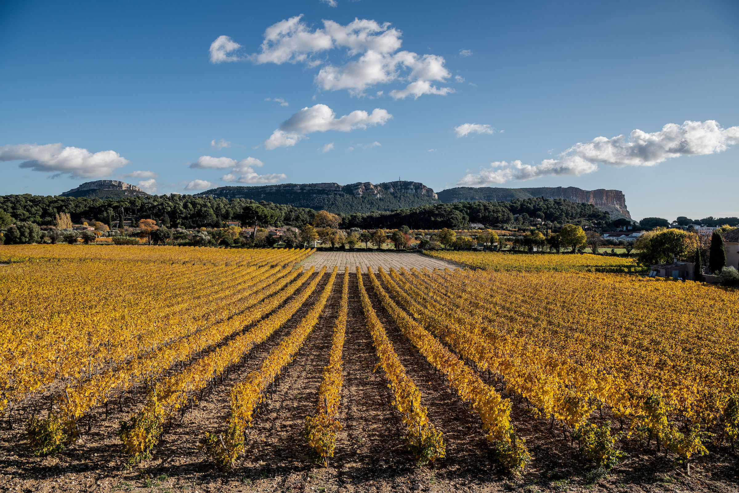 Domaine Cassis Bodin, Cassis - photo 2