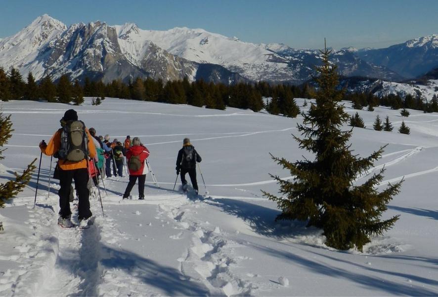 Image Horizons nature et montagnes