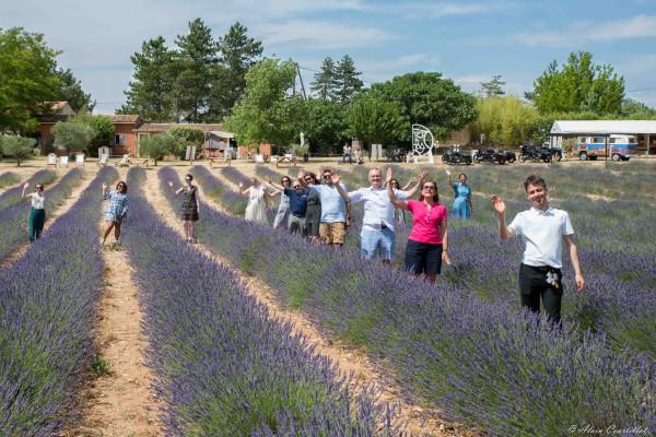 Circuit des lavandes et vignobles en sidecar : 2h,4h ou 6h (juin à septembre)
