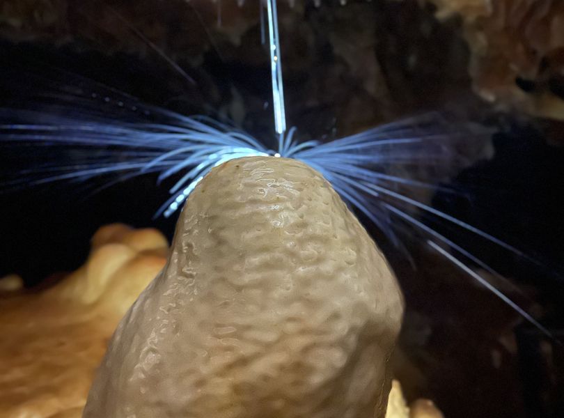 Grotte Forestière explosion de goutte sur stalagmite