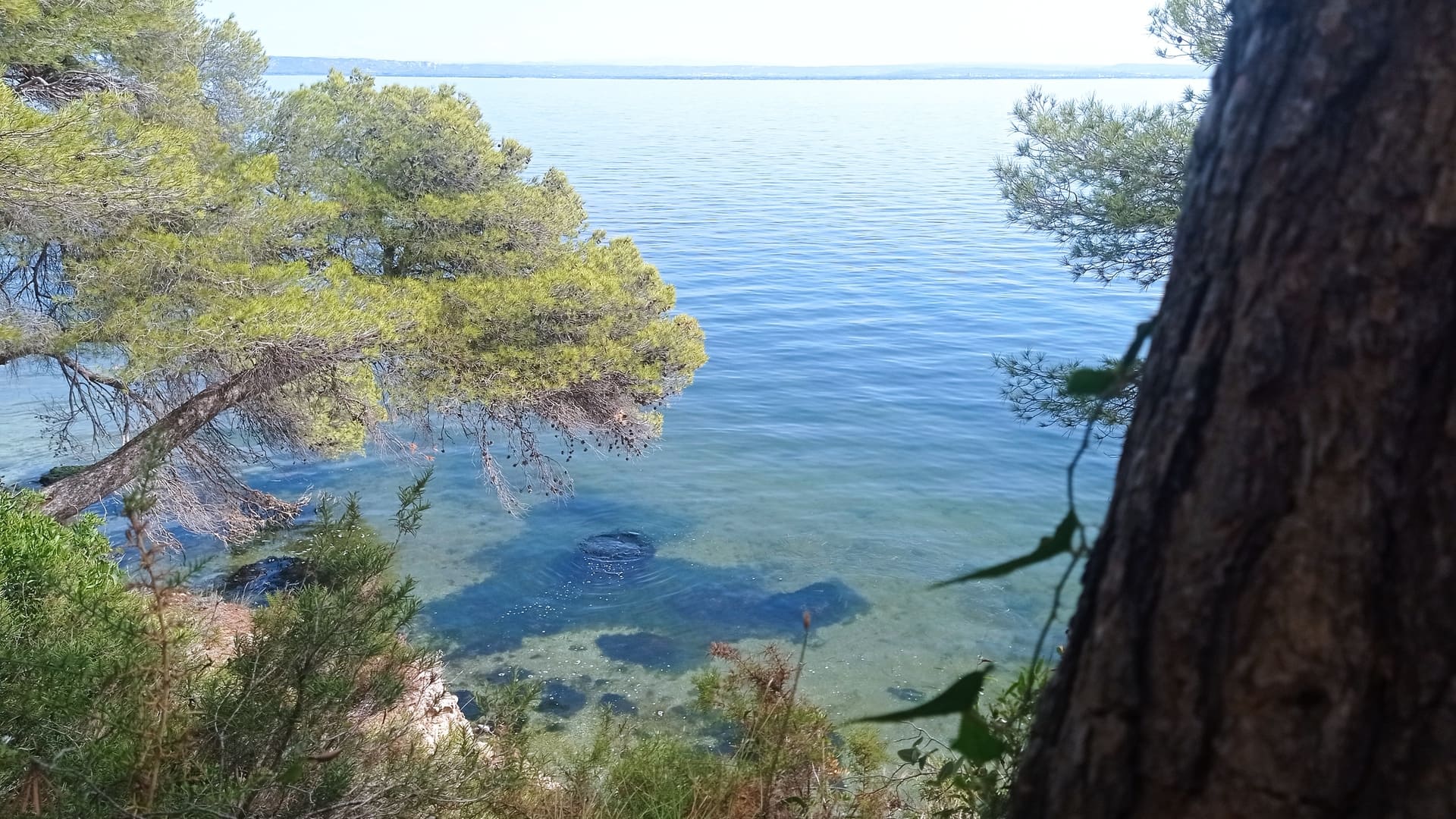 Eco balade autour de l'étang de Berre - photo 4