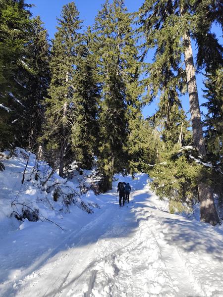 Boucle de l'Avenaz - sentier raquettes_Cordon