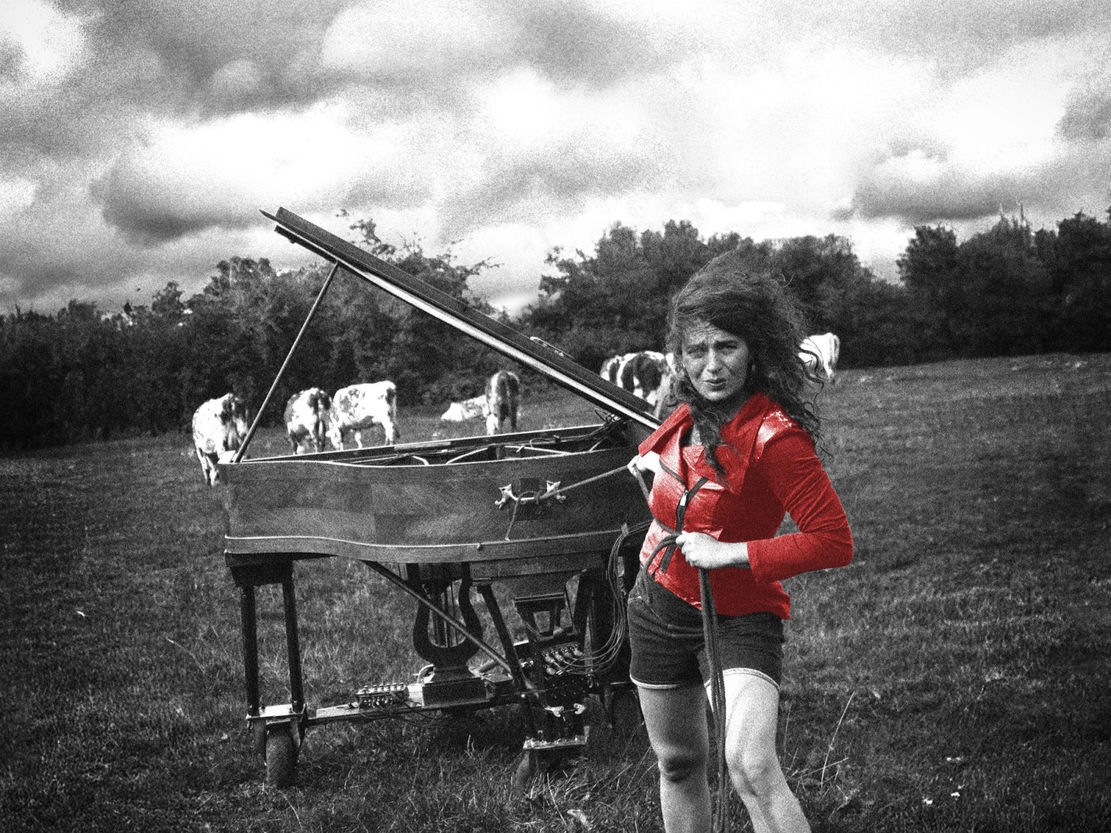 La Pianiste Rouge