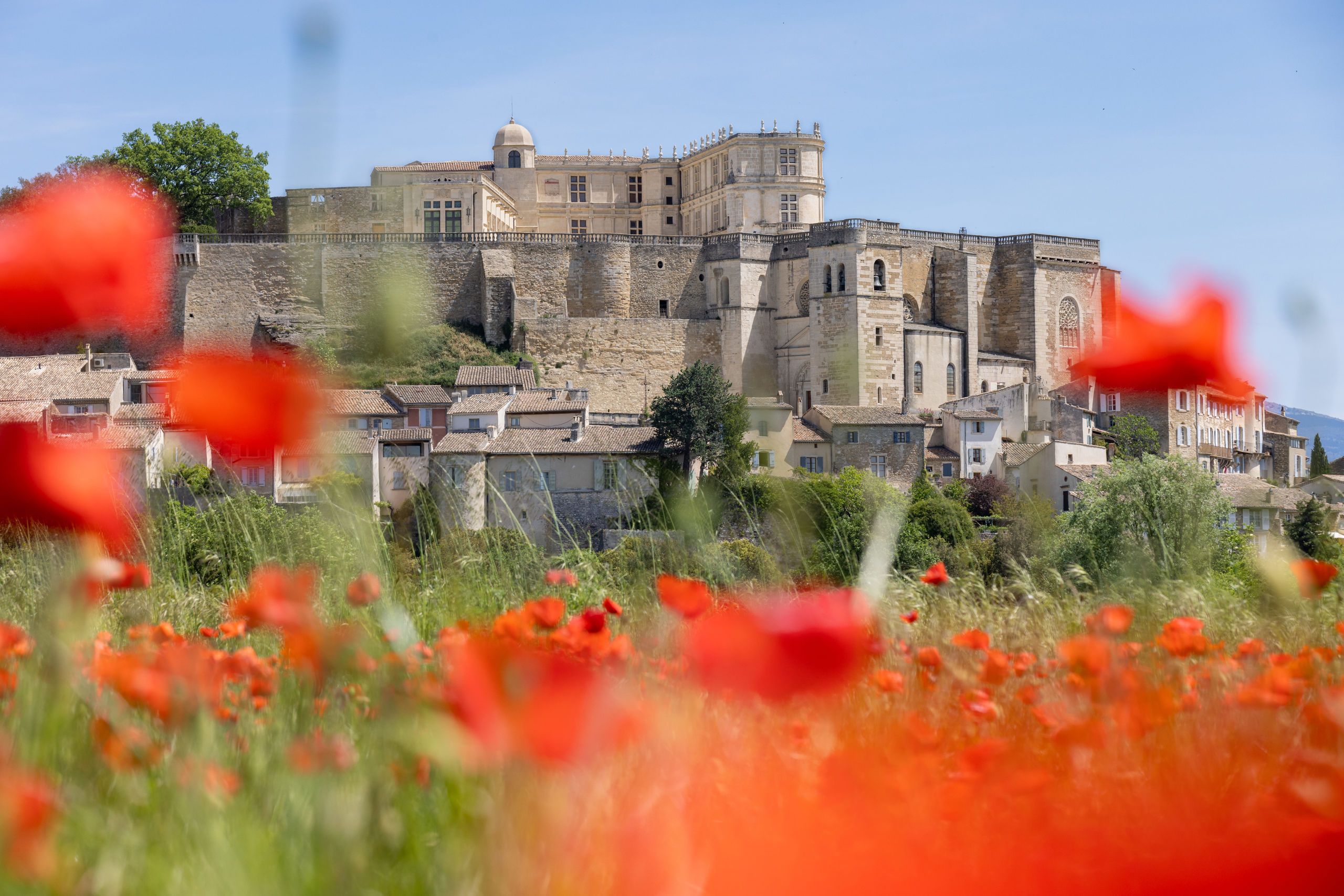 Vue de Grignan et coquelicots