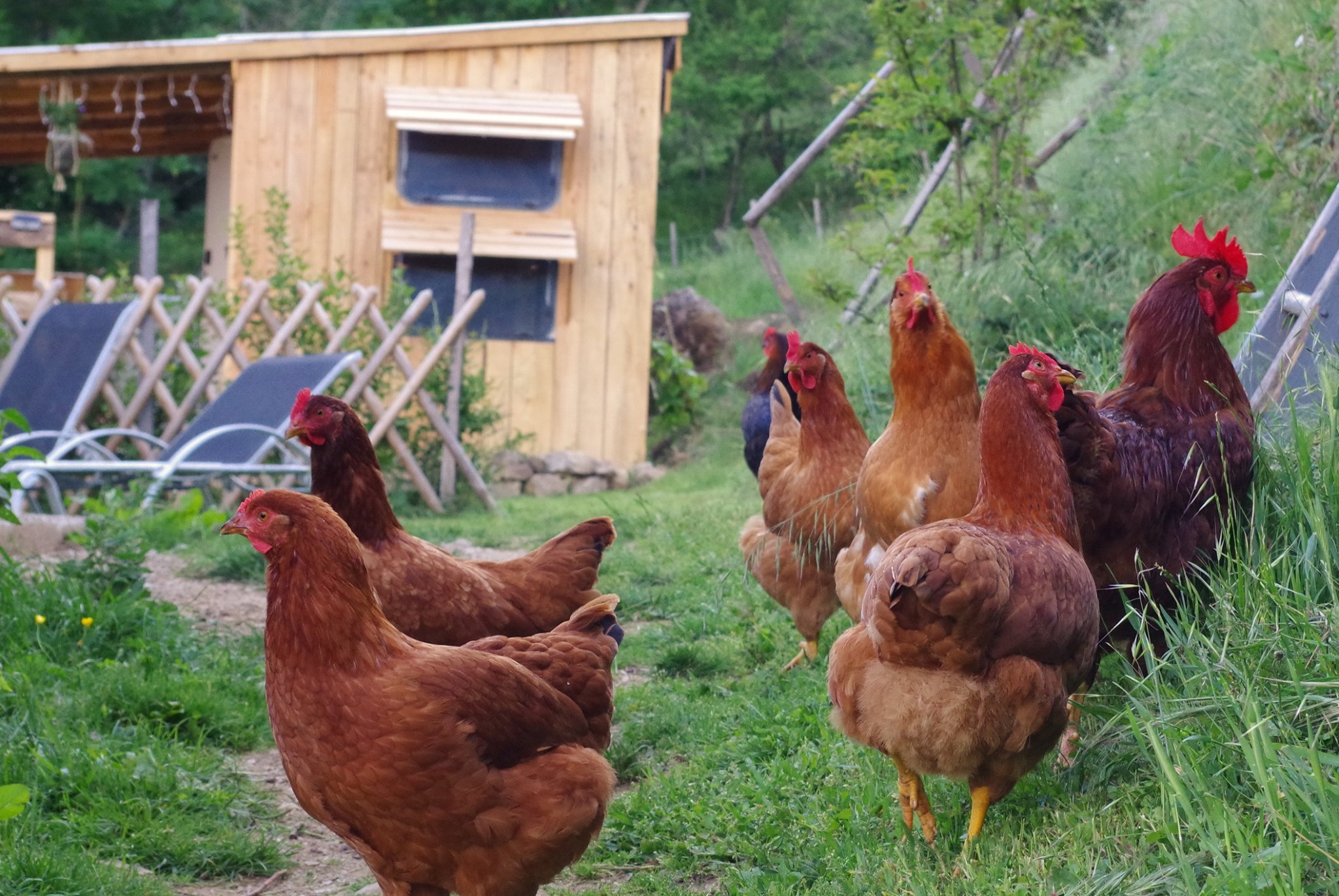 Les Secrets de la Ferme : la Ferme de Samson