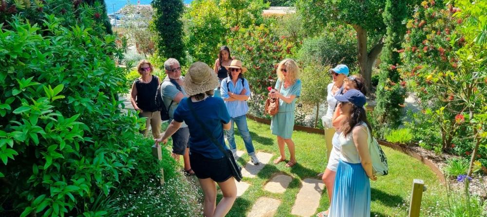 Rendez-vous au jardin du musée du Niel_Hyères