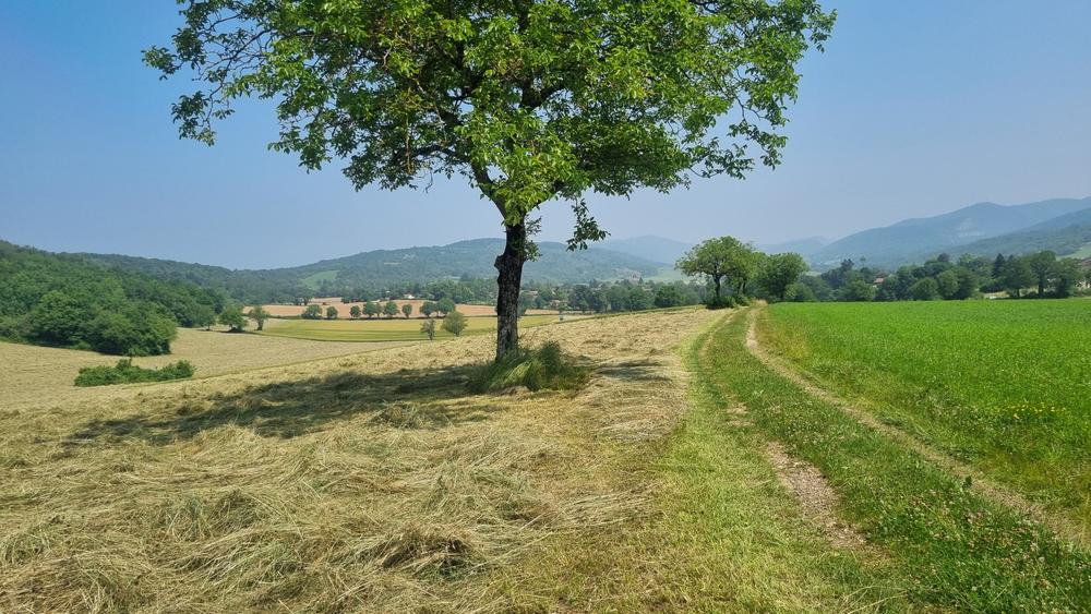 Liaison VTT (L5) Ile Chambod - Corveissiat par Gd Corent_Hautecourt-Romanèche
