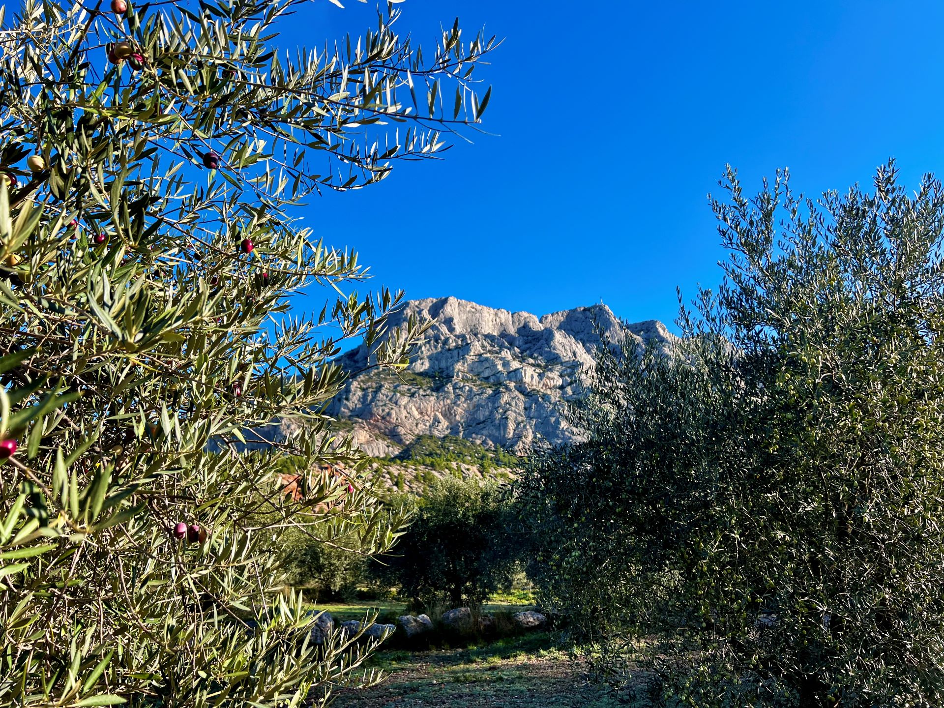 Randonnée Sainte Victoire_Aix-en-Provence