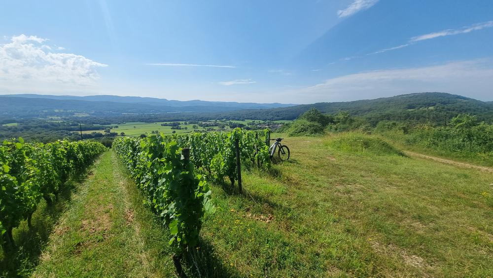 Source de la Reyssouze - Belvédère et vignes du Mont Rignat_Journans