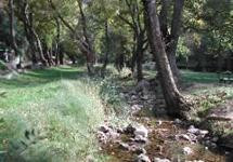 Les Sources des Nayes