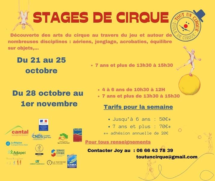 Tout un cirque