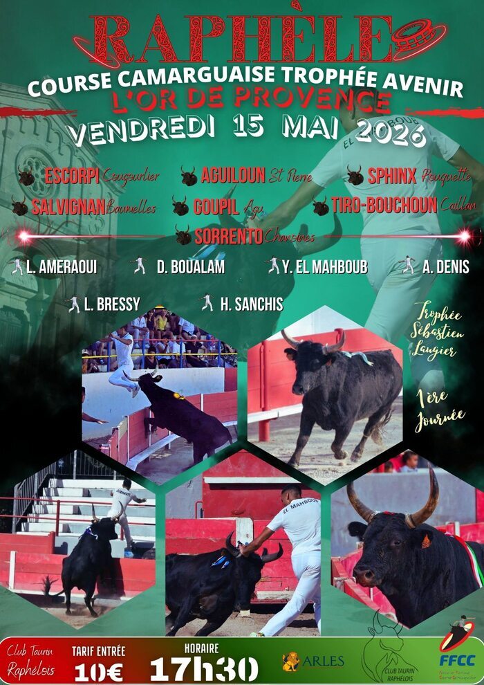 Course camarguaise : l’Or de Provence