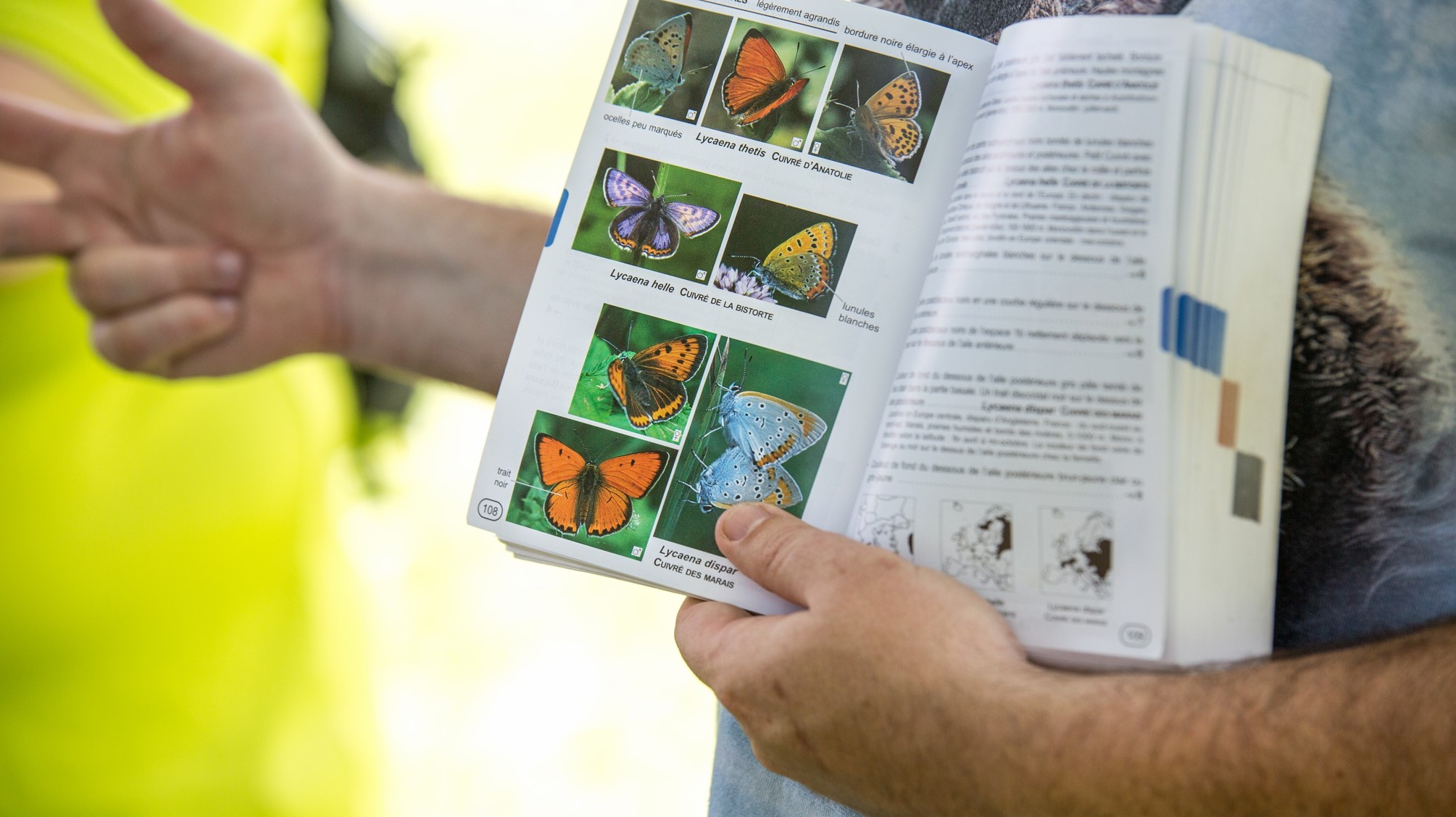 La librairie du dehors - La Lisière