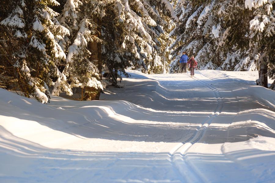 Domaine nordique d'Avoriaz_Avoriaz