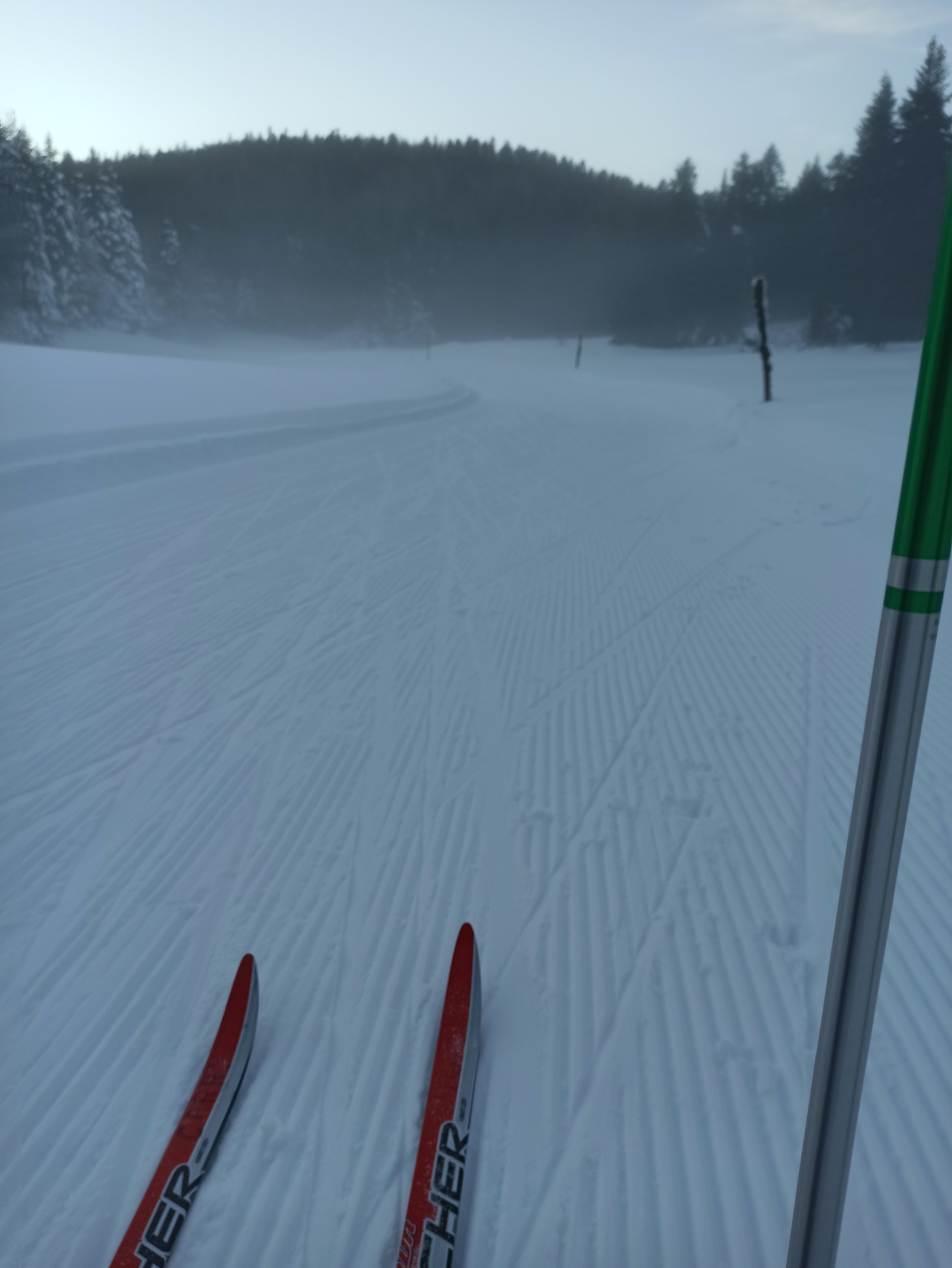 L'activité ski de fond au départ de l'auberge-refuge du Col de Carri