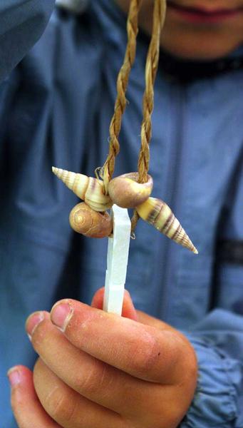 Les mardis de la préhistoire - Lalley