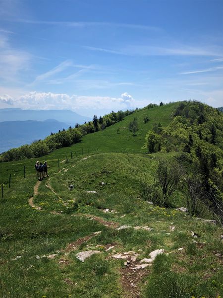 Trail sur les crêtes de Sur Lyand dans le Massif du Grand Colombier